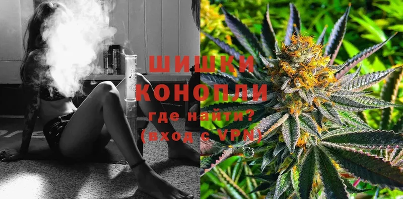 купить   Каневская  Марихуана White Widow 